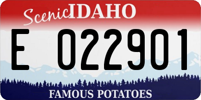 ID license plate E022901