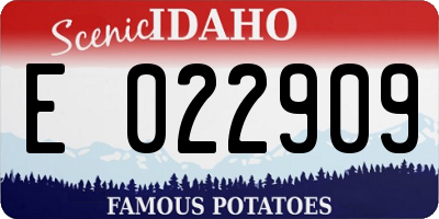 ID license plate E022909
