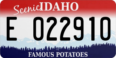 ID license plate E022910