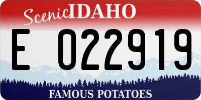 ID license plate E022919
