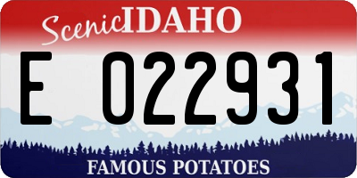 ID license plate E022931