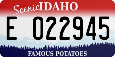 ID license plate E022945