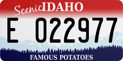 ID license plate E022977
