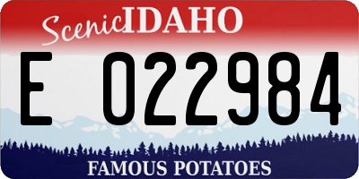 ID license plate E022984