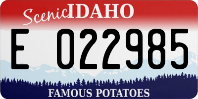 ID license plate E022985