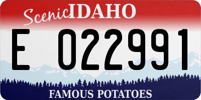 ID license plate E022991