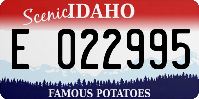 ID license plate E022995