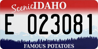 ID license plate E023081