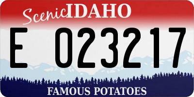 ID license plate E023217