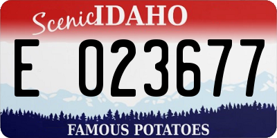 ID license plate E023677