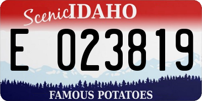ID license plate E023819