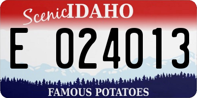 ID license plate E024013