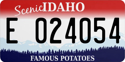 ID license plate E024054