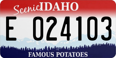 ID license plate E024103