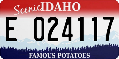 ID license plate E024117