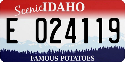 ID license plate E024119