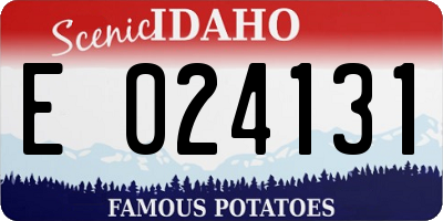 ID license plate E024131