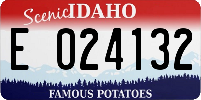 ID license plate E024132