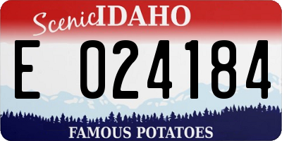 ID license plate E024184