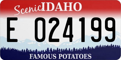 ID license plate E024199