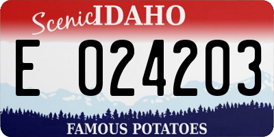 ID license plate E024203