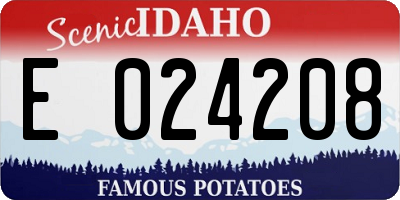 ID license plate E024208