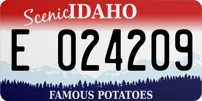 ID license plate E024209