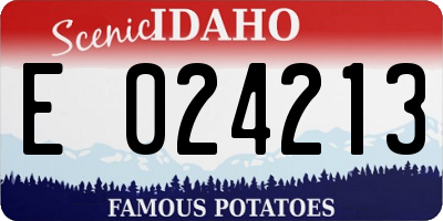 ID license plate E024213