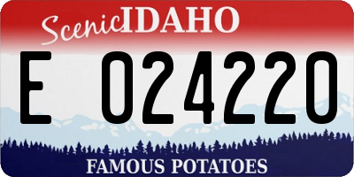 ID license plate E024220