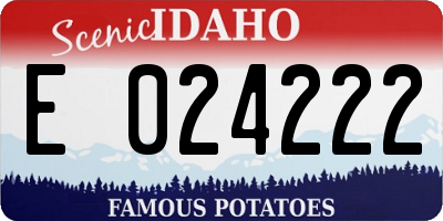 ID license plate E024222