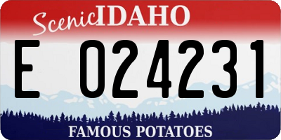 ID license plate E024231