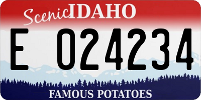 ID license plate E024234