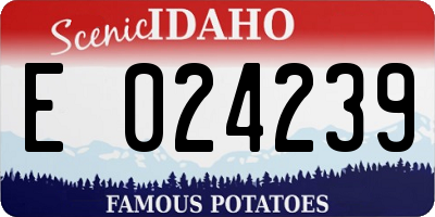 ID license plate E024239