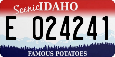 ID license plate E024241