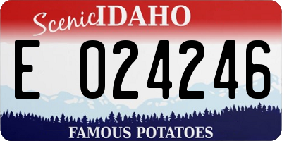 ID license plate E024246
