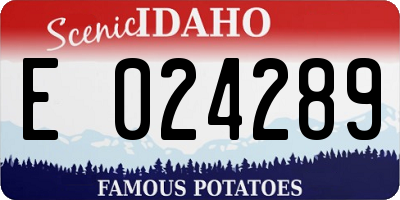 ID license plate E024289