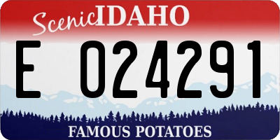 ID license plate E024291