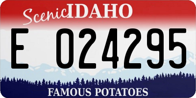 ID license plate E024295