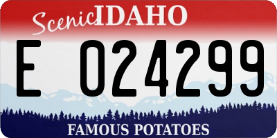 ID license plate E024299