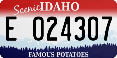 ID license plate E024307