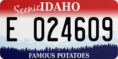 ID license plate E024609