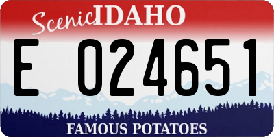 ID license plate E024651