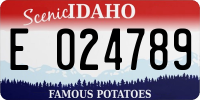ID license plate E024789