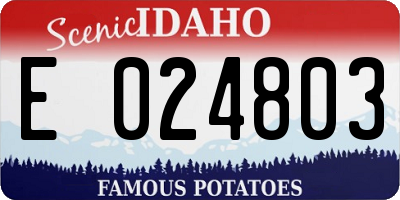 ID license plate E024803
