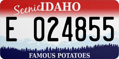 ID license plate E024855