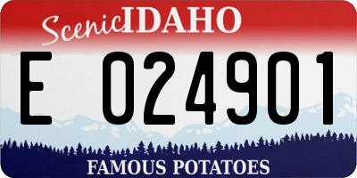 ID license plate E024901