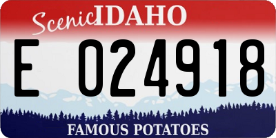 ID license plate E024918