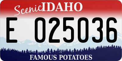 ID license plate E025036