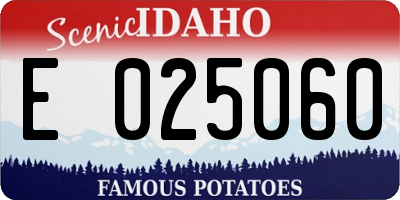 ID license plate E025060