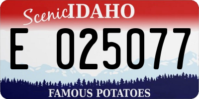 ID license plate E025077